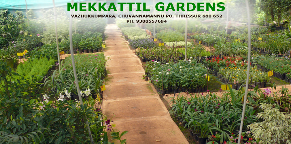 MEKKATTIL GARDENS, VAZHUKKUMPARA, CHUVANNAMANNU PO, THRISSUR, NH 47