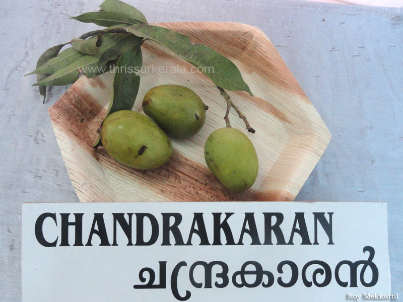 Chandrakaran