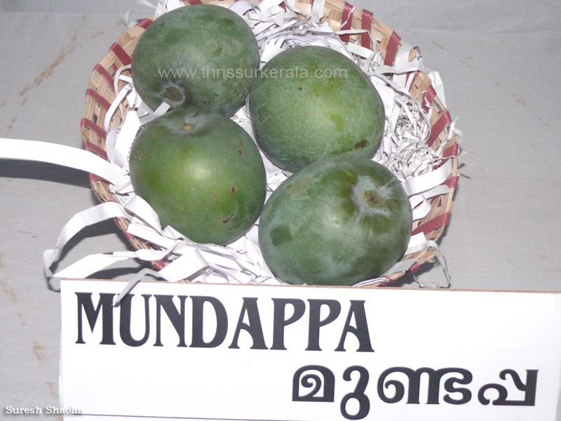 Mundappa