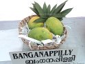 Banganappilly
