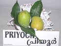 Priyoor