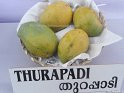 Thurapadi