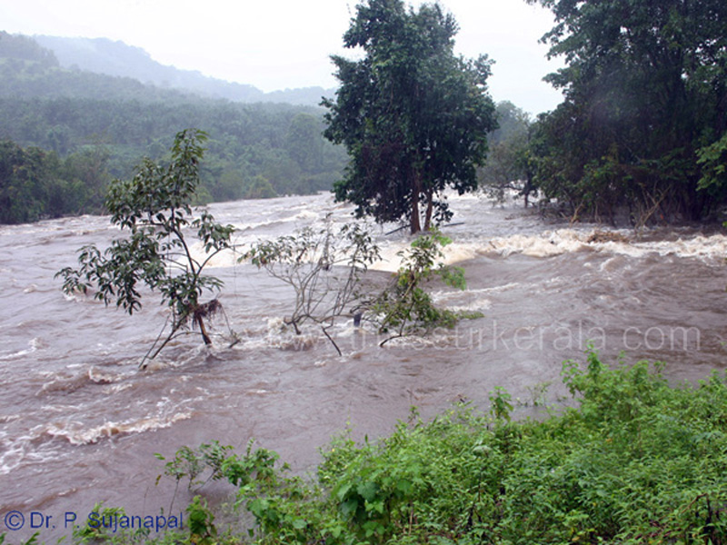 Chalakkudy_river