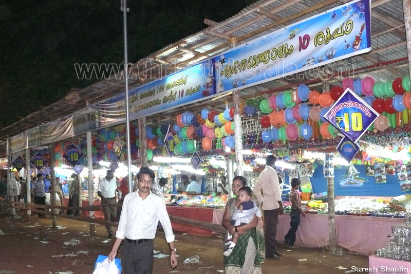 thrissur-pooram-exhibition-2012-15