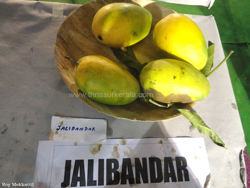 Jalibandar