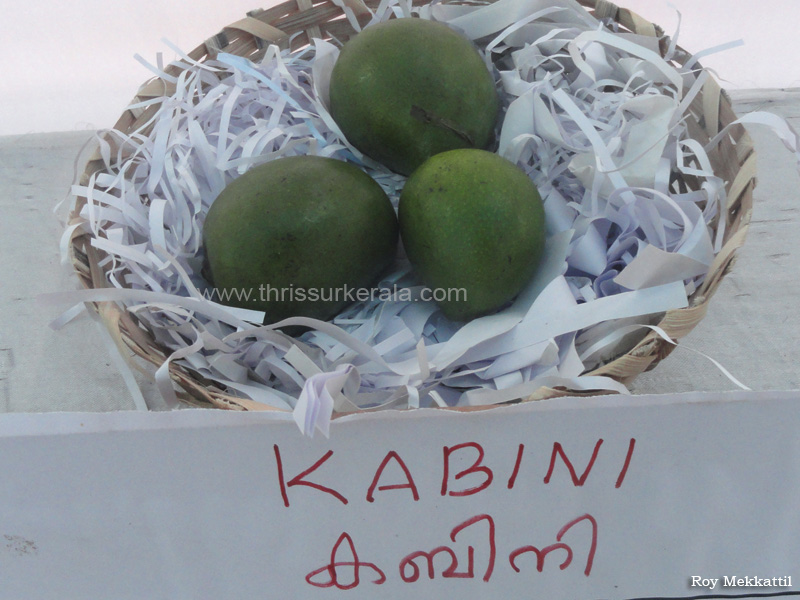 Kabini