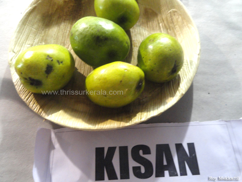 Kisan