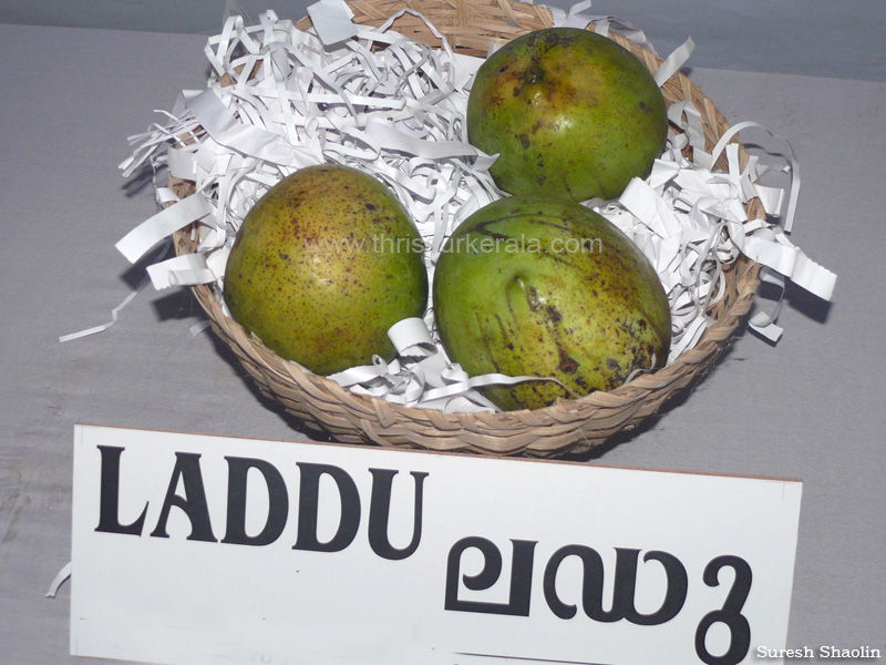 Laddu