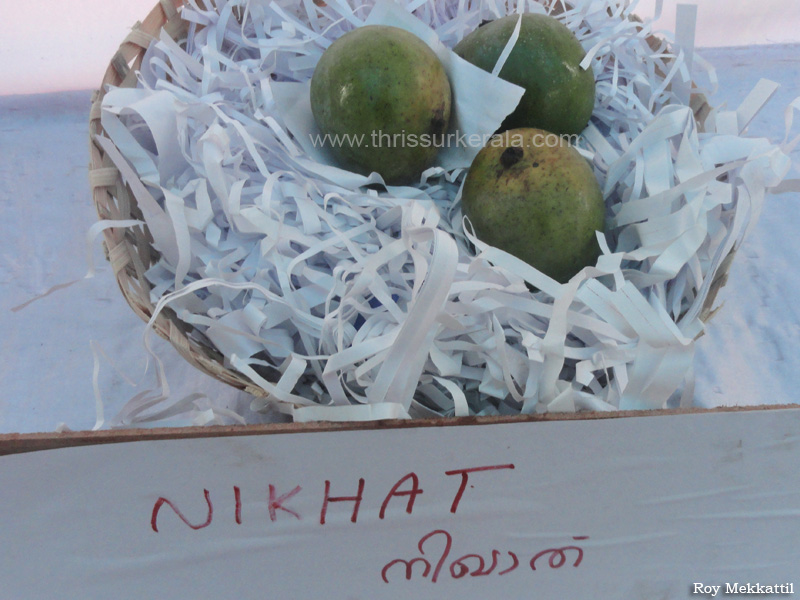 Nikhat