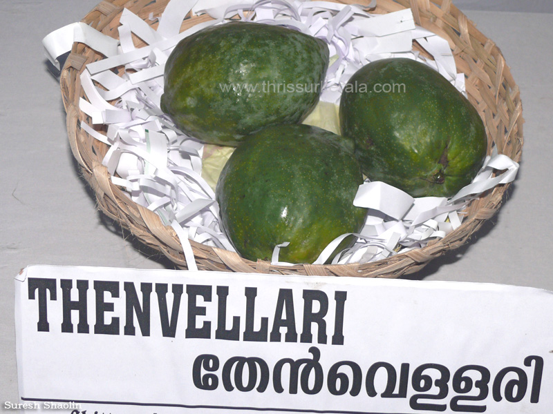 Thenvellari