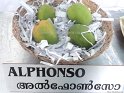Alphonsa