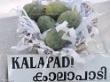 Kalapadi