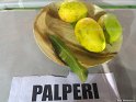 Palperi