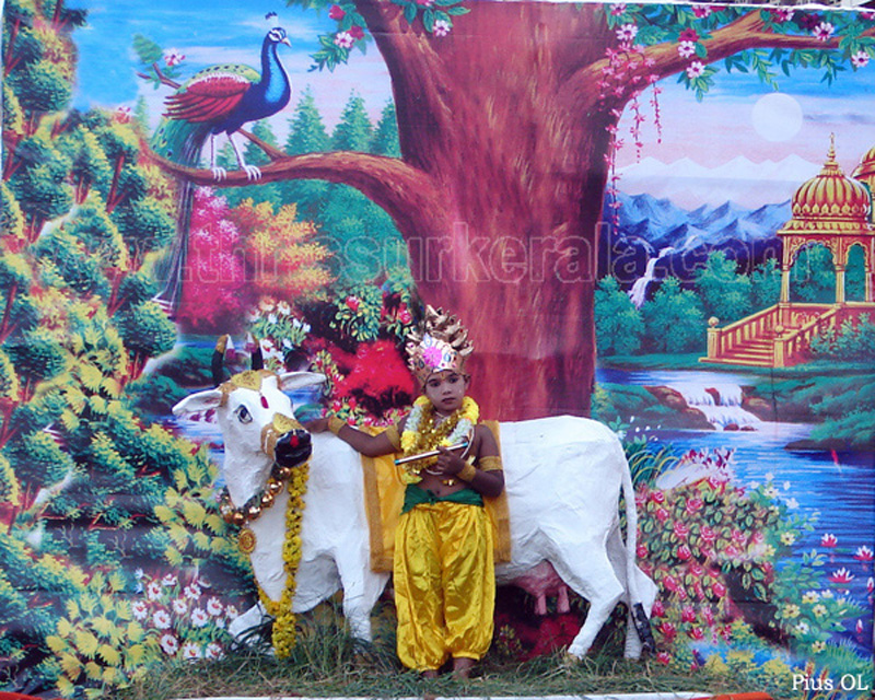 sree-krishna-jayanthi22