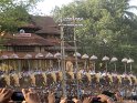 thrissur-pooram-2013-2